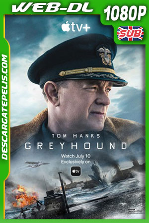 En la mira del Enemigo 2020 ES EN